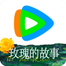 贱奴8号